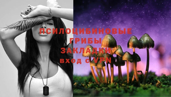 бутират Пересвет