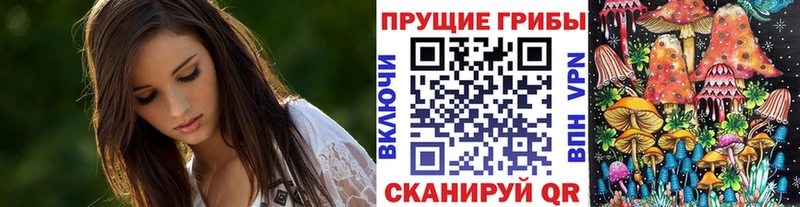 Галлюциногенные грибы Cubensis  Красавино 