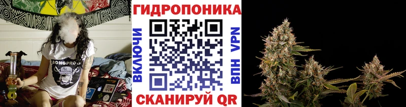 Бошки Шишки SATIVA & INDICA Красавино